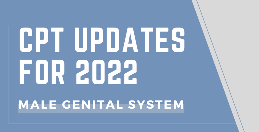 CPT updates for 2022